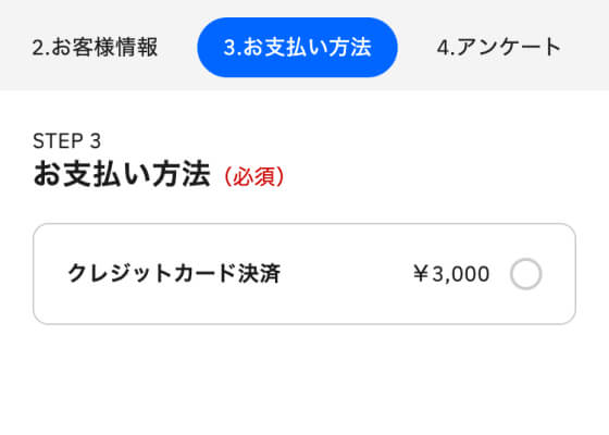 お支払い方法入力画面